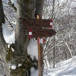 gite_scialpinistiche