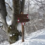 gite_scialpinistiche