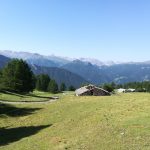 IMG_20190702_101944