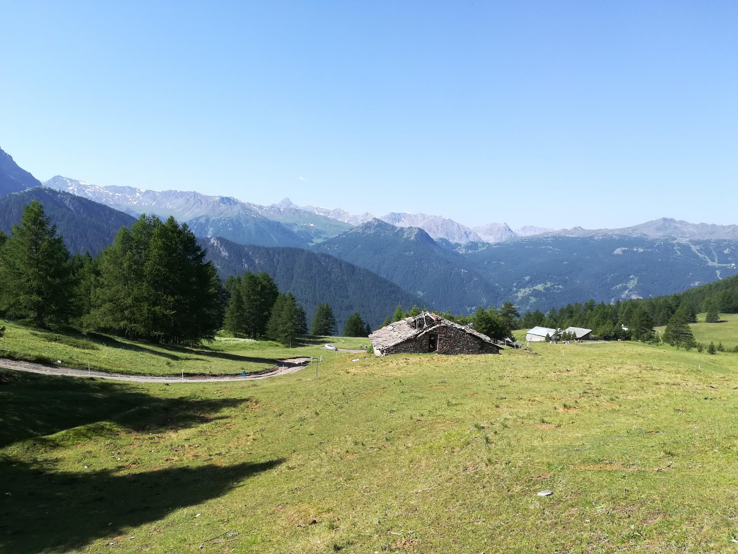 IMG_20190702_101944