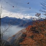 IMG_20201029_093408